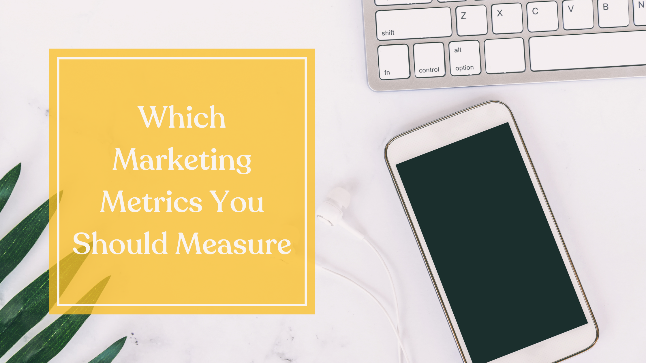 Which Marketing Metrics You Should Measure
